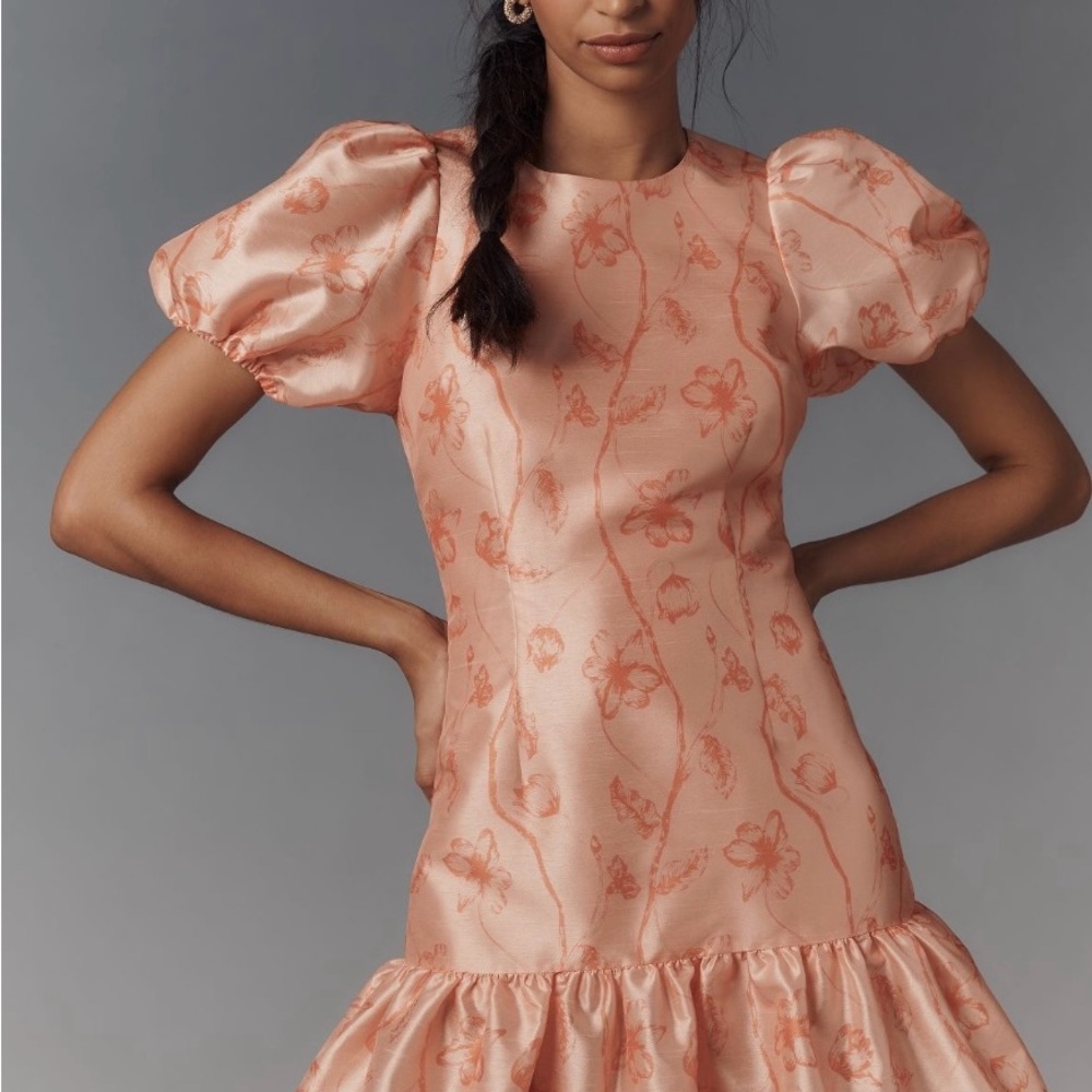 Hutch Puff Sleeve Ruffled Shift Mini Dress